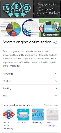 SERP SEO Knowledge Panel